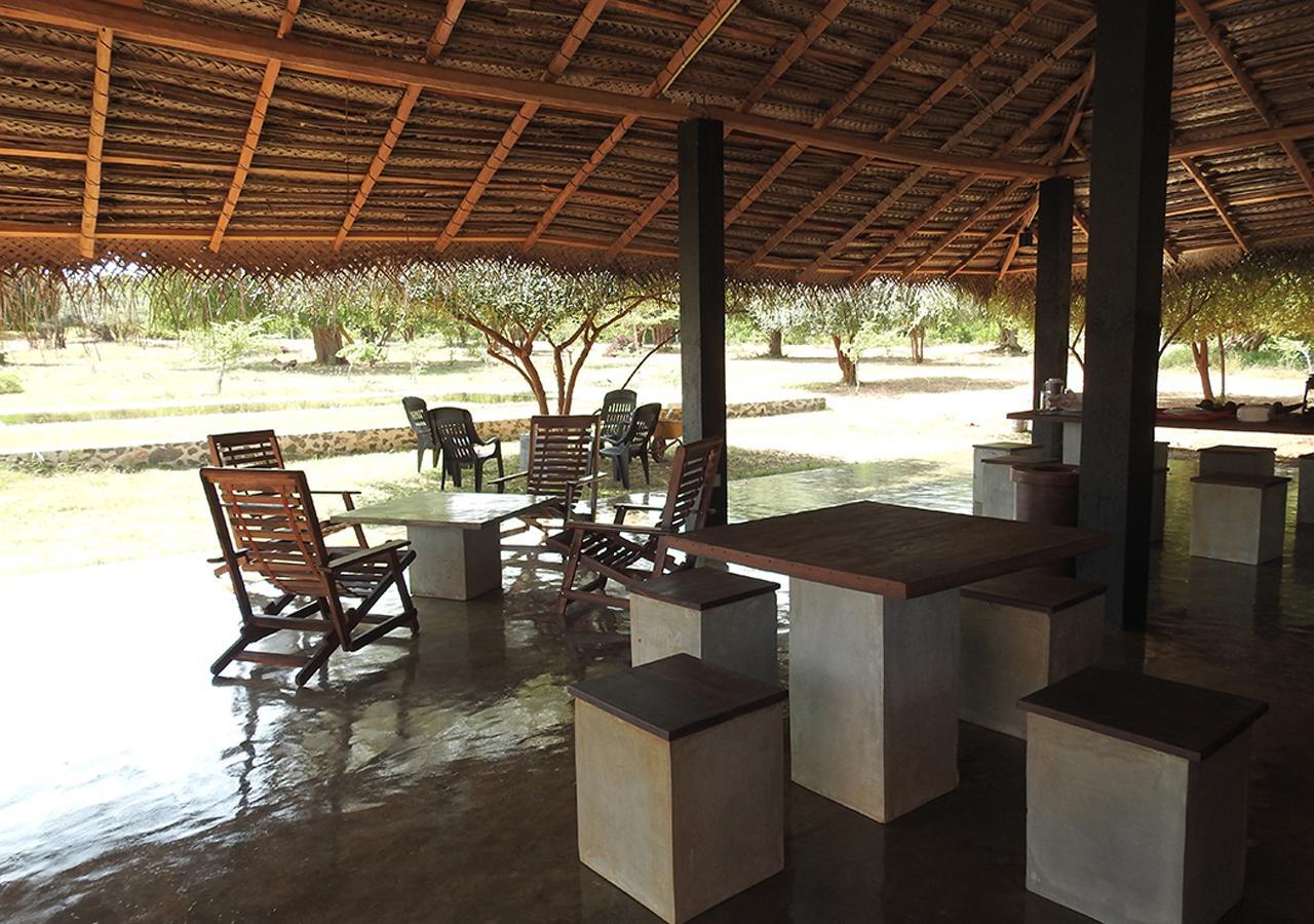 The Elephant Pass - Yala Tissamaharama Exterior foto